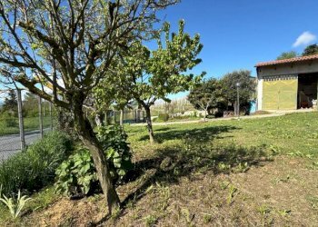 Independent house Guarene - photo 7