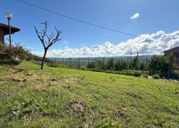 Independent house Guarene - photo 8