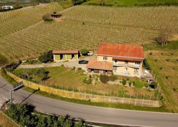 Independent house Guarene - photo 12