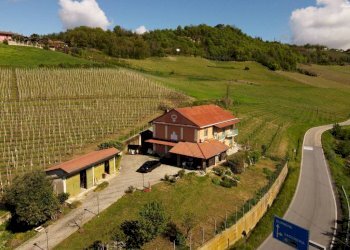 Independent house Guarene - photo 13