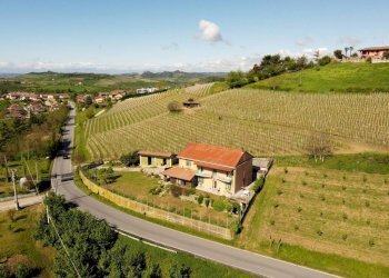 Independent house Guarene - photo 15