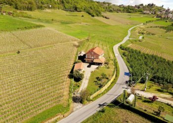 Independent house Guarene - photo 18