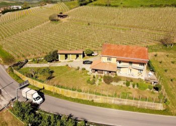 Independent house Guarene - photo 21