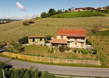 Independent house Guarene - photo 23