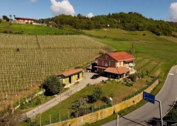 Independent house Guarene - photo 26