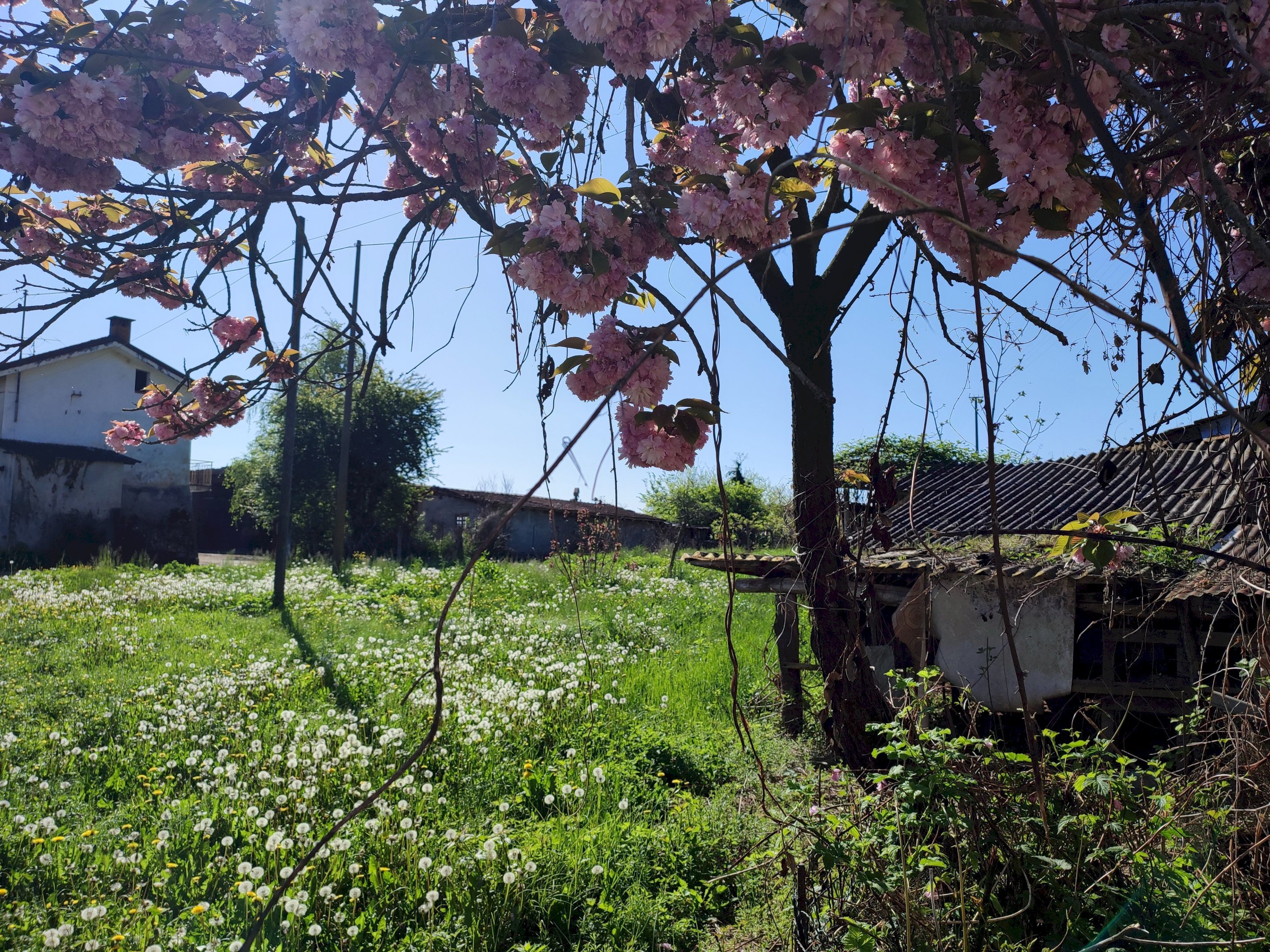 Independent house via molino, 34, Envie - photo 2