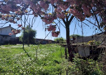 Casa indipendente via molino, 34, Envie - foto 2