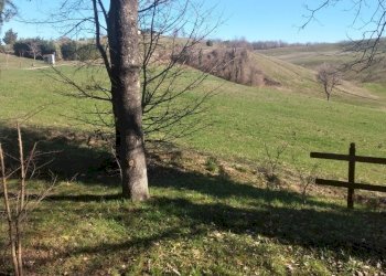 Porzione di casa Canossa - foto 36