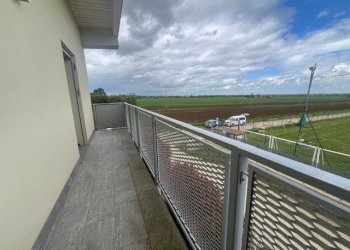 Apartment Castel San Pietro Terme - photo 21