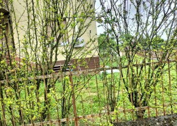 Appartamento Castel San Giovanni - foto 12