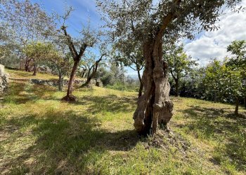 Rustico Via San Giovanni, Roccasecca - foto 21