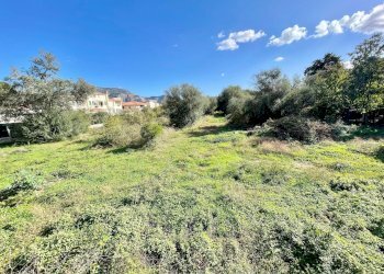 Terreno agricolo Fondo Chiusa Grande, Palermo - foto 6