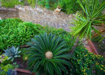 Bilocale strada solaro, Sanremo - foto 18