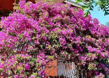 Appartamento via Duca degli Abruzzi, Sanremo - foto 17