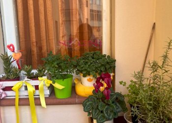 Appartamento Grosseto - foto 15