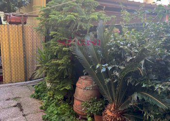 Appartamento Grosseto - foto 21