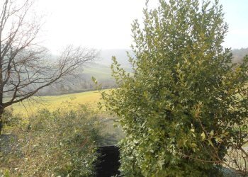 Vista - Casa indipendente via San Martino, Monte San Pietro - foto 35