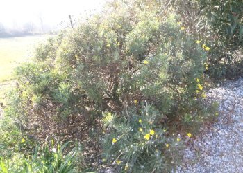 Terreno - Casa indipendente via San Martino, Monte San Pietro - foto 42