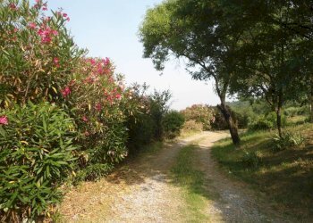 Terreno - Casa indipendente via San Martino, Monte San Pietro - foto 44