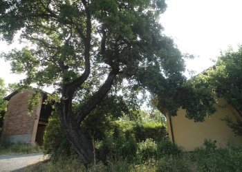 Terreno - Casa indipendente via San Martino, Monte San Pietro - foto 46