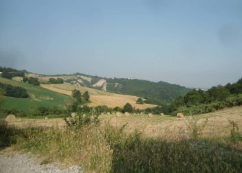 Terreno - Casa indipendente via San Martino, Monte San Pietro - foto 50