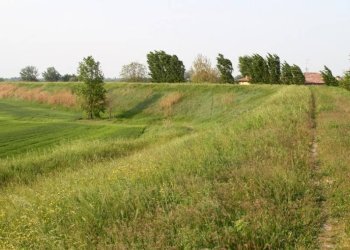 Terreno - Terreno agricolo strada Provinciale Trasversale di Pianura, Argelato - foto 1