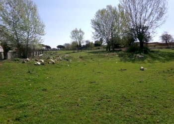 Terreno - Casa indipendente via della Cannuccia, Anzio - foto 12