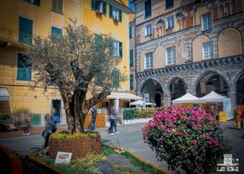 chiavari piazza fenice - Three-room apartment via Vittorio Veneto, Chiavari - photo 1
