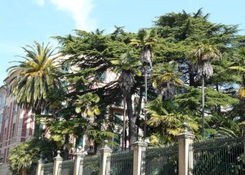 chiavari piazza verdi - Three-room apartment via Vittorio Veneto, Chiavari - photo 4