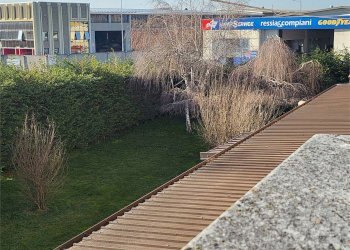 Capannone Fossano - foto 2