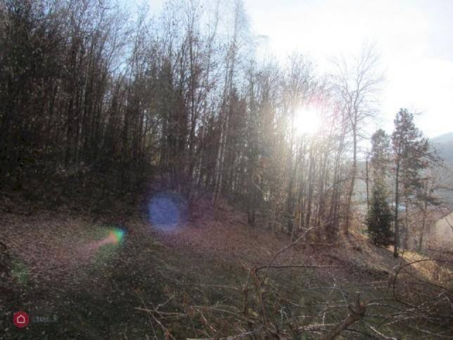 Appartamento Via Roma, Roccaforte Mondovì - foto 2