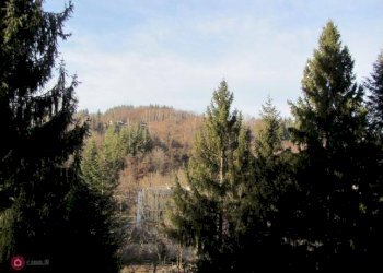 Appartamento Via Roma, Roccaforte Mondovì - foto 1