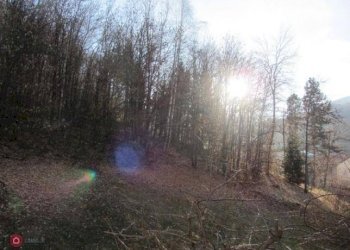 Appartamento Via Roma, Roccaforte Mondovì - foto 2