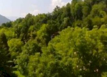 Appartamento Via provinciale san bartolomeo, Chiusa di Pesio - foto 9