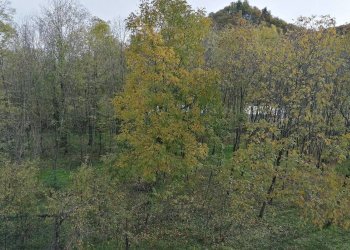 Four-room apartment Piazza monsignor eula, 5 b, Roccaforte Mondovì - photo 12