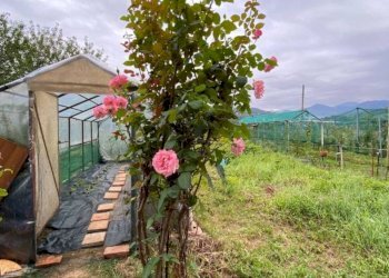 Trilocale Via roccaforte s.n.c, Villanova Mondovì - foto 6