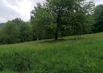 Villa Valle asili s.n.c, Roccaforte Mondovì - foto 12