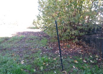 Villa Via Barocchio, Castelnuovo Bormida, Castelnuovo Bormida - foto 34