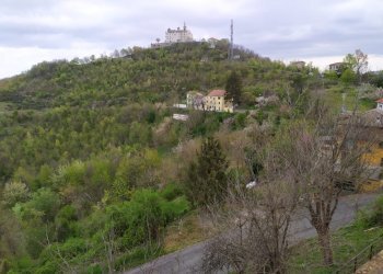 Villa Gavi, Alessandria, Gavi - foto 16