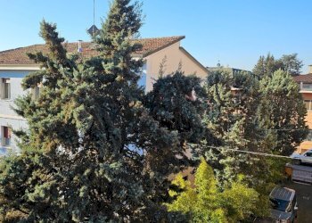 Appartamento Modena - foto 1