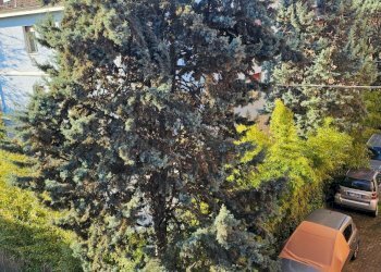 Appartamento Modena - foto 30