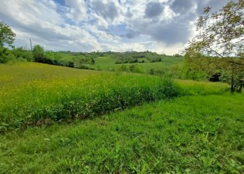 Villa Unifamiliare Lesignano de' Bagni - foto 4