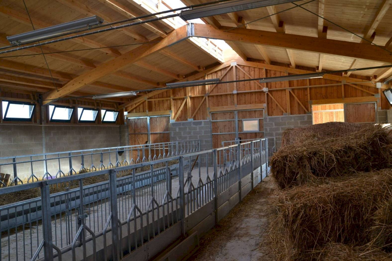 Cascina Via per Cuccaro, Fubine Monferrato - foto 3