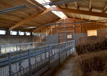 Cascina Via per Cuccaro, Fubine Monferrato - foto 3