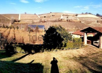 Villa Località Case Nuove Gottino, 1, Santa Vittoria d'Alba - foto 6