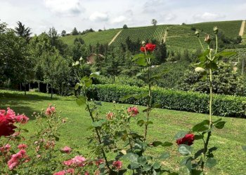 Villa Località Case Nuove Gottino, 1, Santa Vittoria d'Alba - foto 49