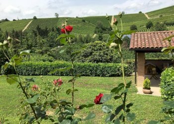 Villa Località Case Nuove Gottino, 1, Santa Vittoria d'Alba - foto 50