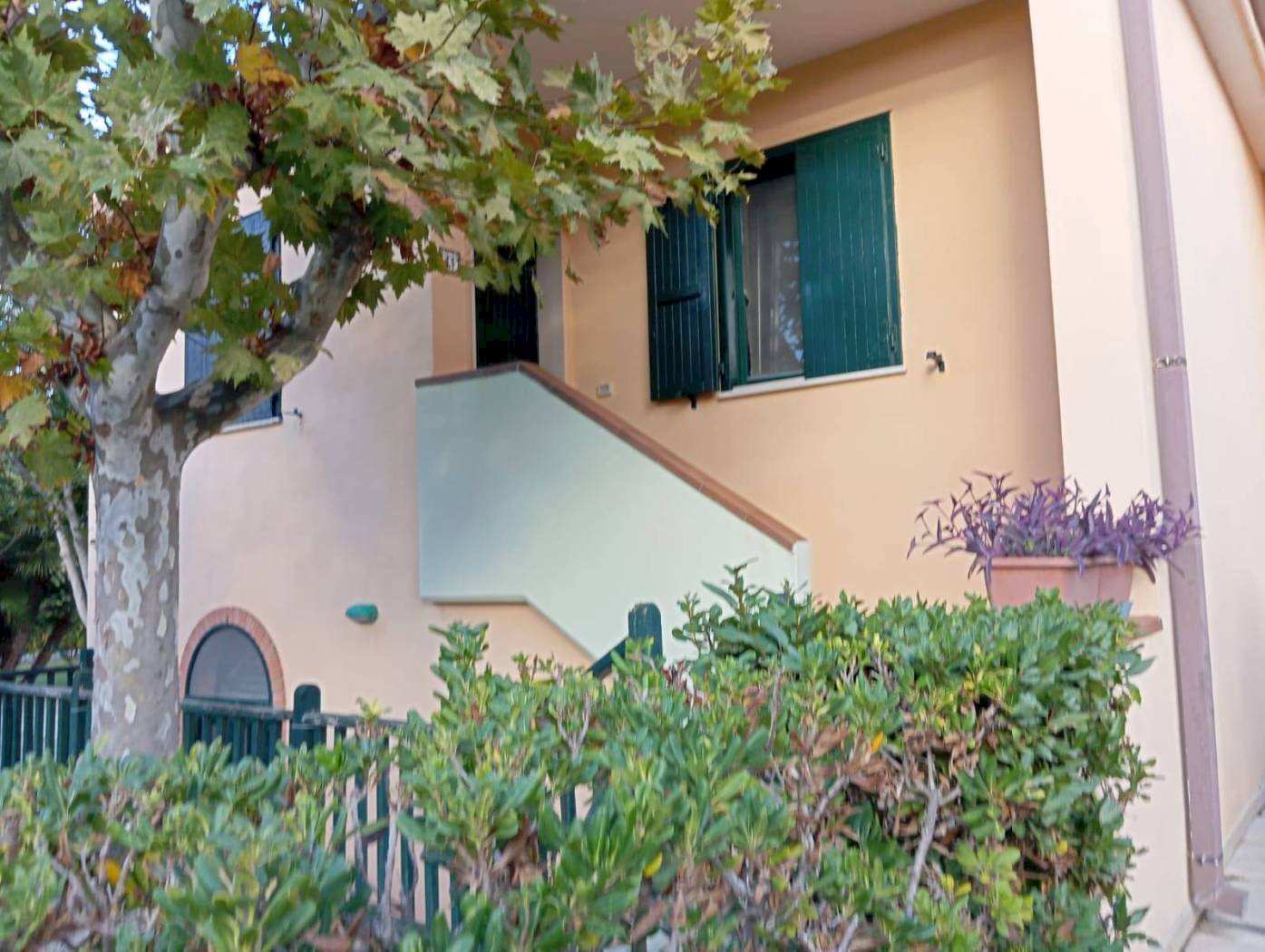 Villa Bernalda - photo 1