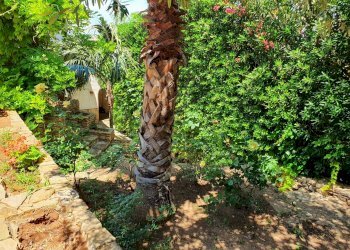 Villa Contrada Santa Venera, Marsala - foto 14