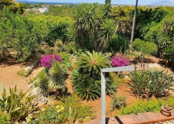 Villa Contrada Santa Venera, Marsala - foto 19